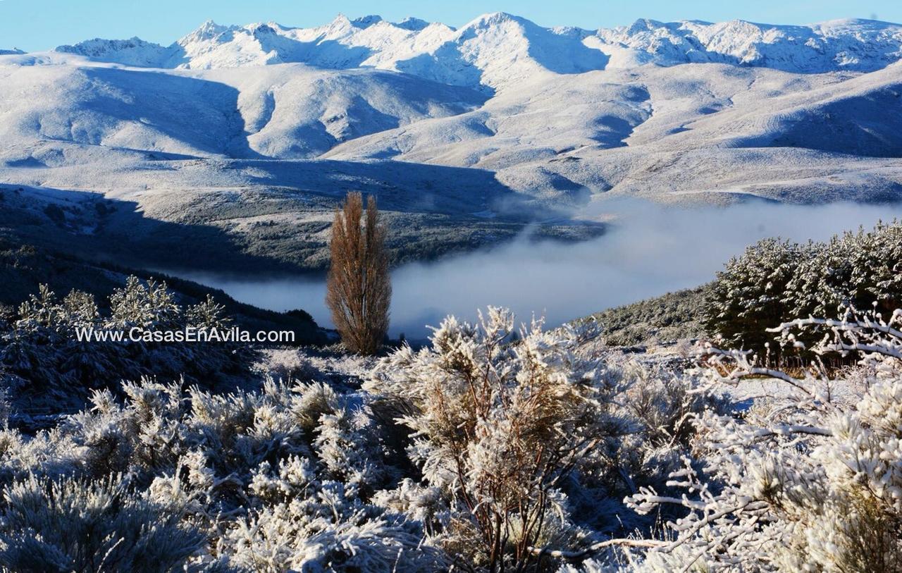 Гостевой дом La Pasailla De Gredos Навасепеда-де-Тормес Экстерьер фото