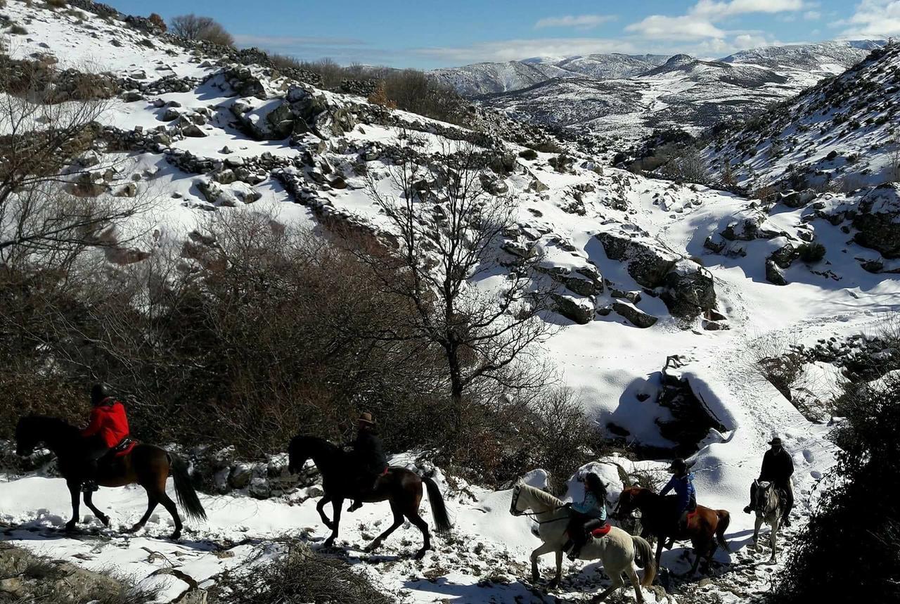 Гостевой дом La Pasailla De Gredos Навасепеда-де-Тормес Экстерьер фото