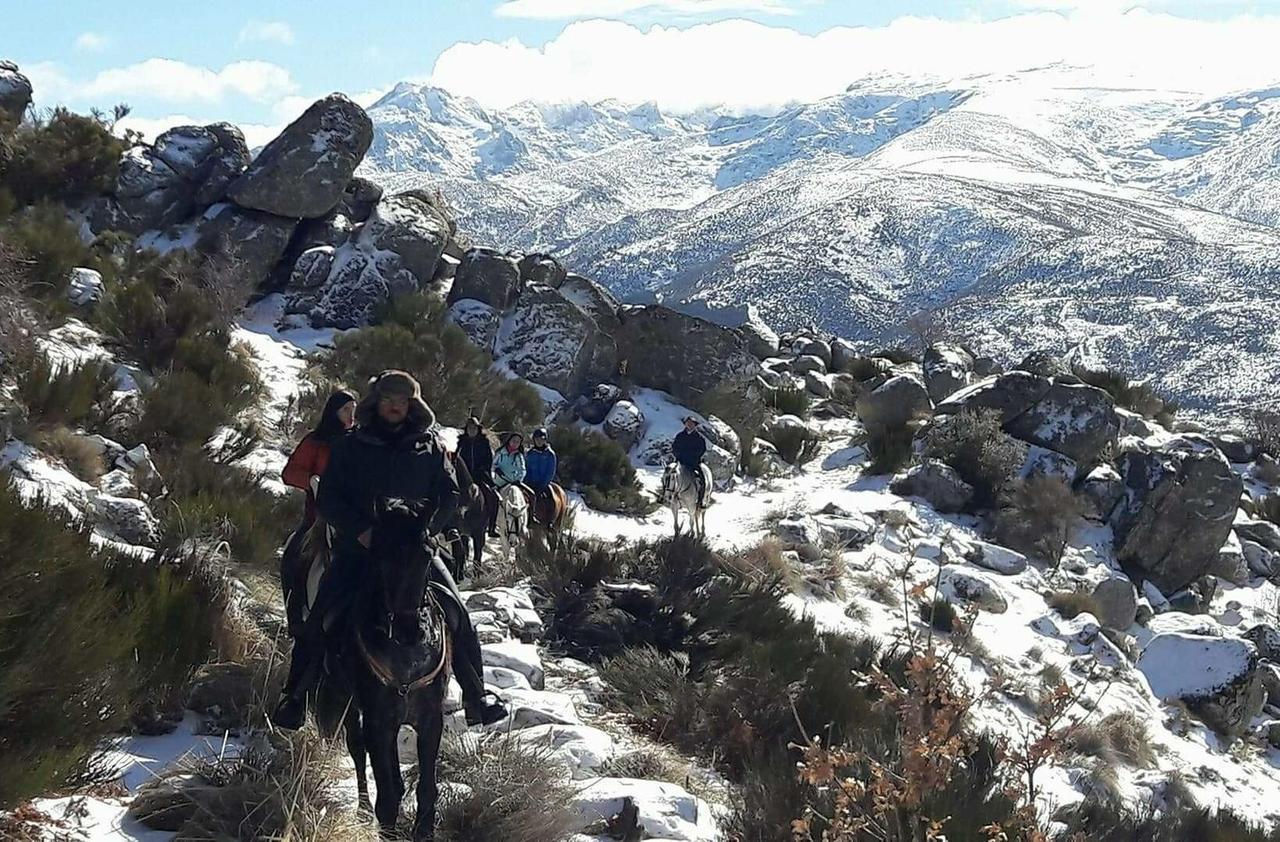 Гостевой дом La Pasailla De Gredos Навасепеда-де-Тормес Экстерьер фото